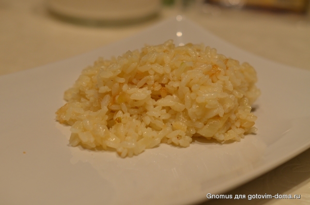 DSC_6856.JPG