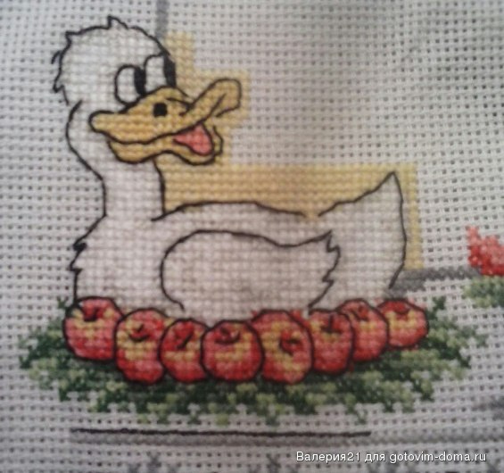duck.jpg