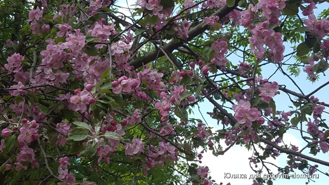 20160511_120844.jpg