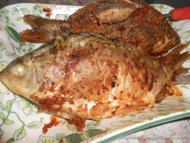 DSCN4545.JPG