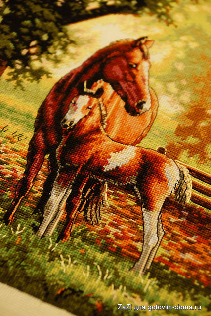 horse_final_2.jpg