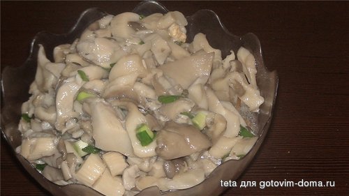 a44b1419bca8.jpg