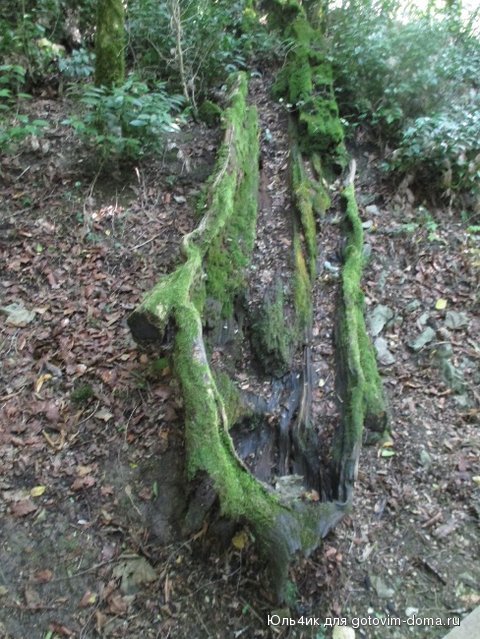 IMG_1984.JPG