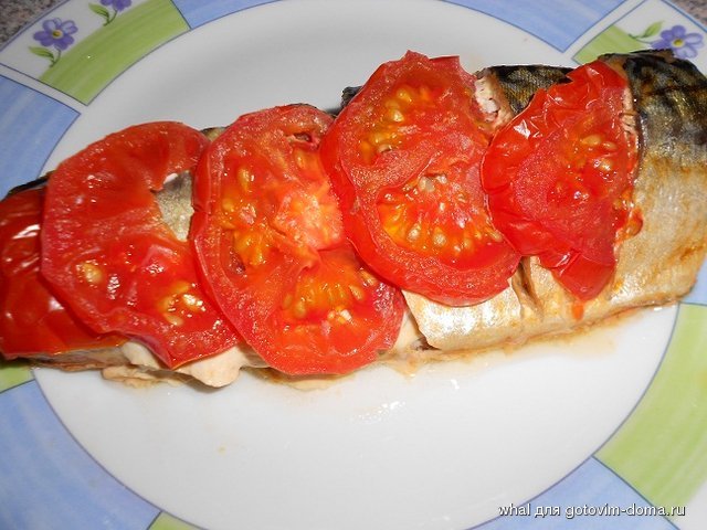 DSCN7221.JPG