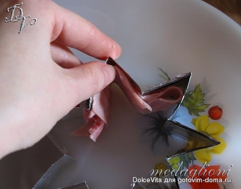 process5dv.jpg