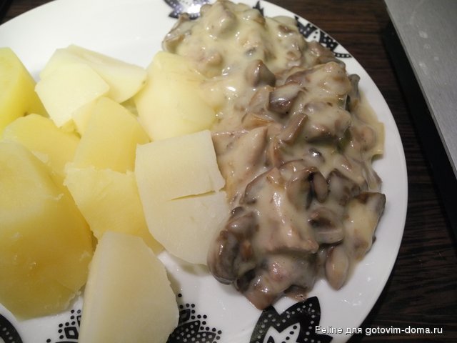 DSCN0690.JPG