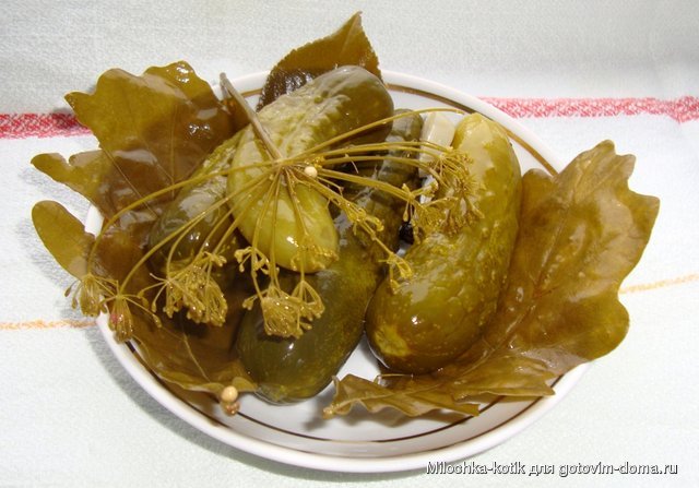 мамины.JPG