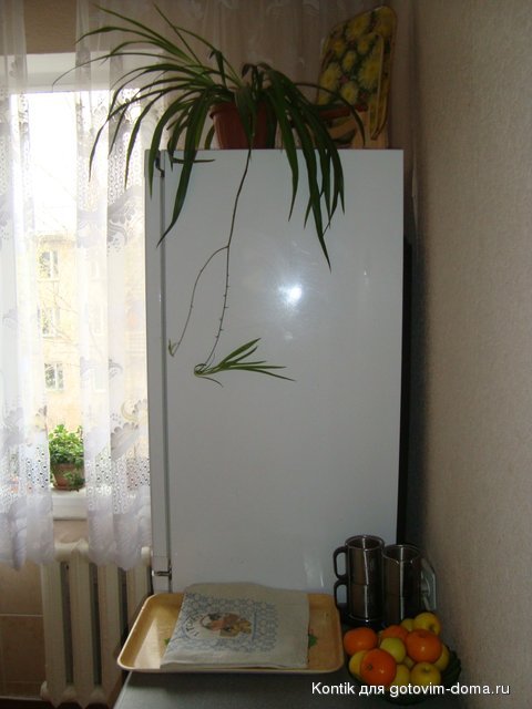 DSC01921.JPG