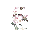 34ebed6b78788cb89c93ec9b9074d0f5[1].gif
