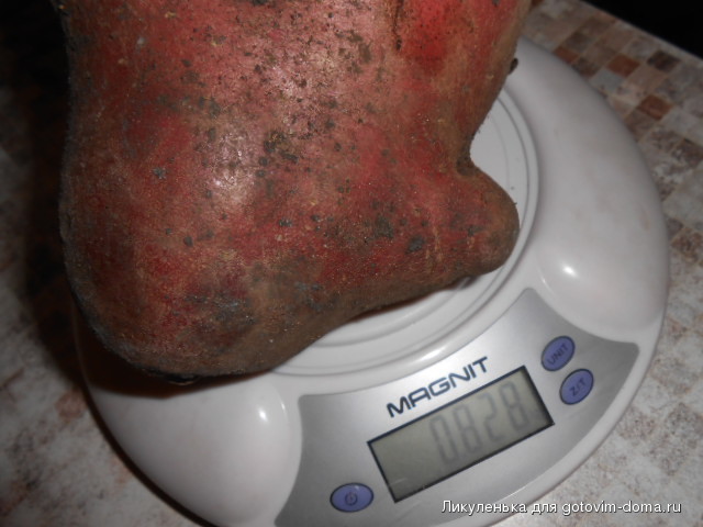DSCN8218.JPG