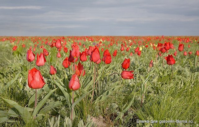 15040_900.jpg