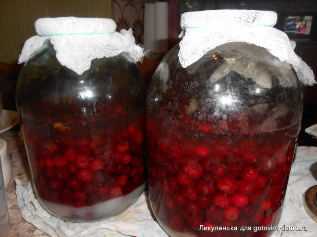 DSCN1461.JPG