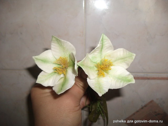 DSCF3711.jpg