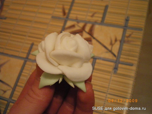 IMGP3137.jpg