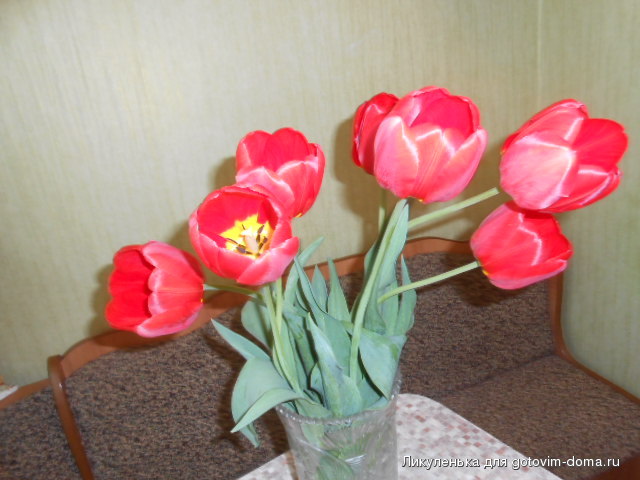 DSCN1632.JPG