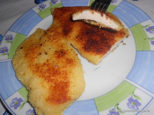 DSCN6379.JPG