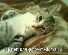 IMG0016A.jpg