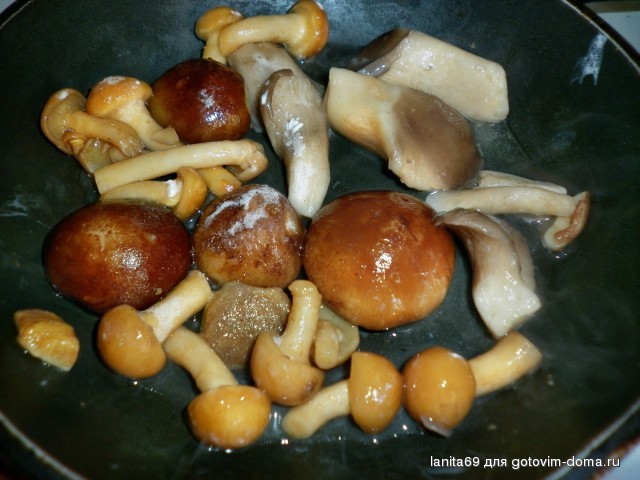 P1040738 (2).jpg
