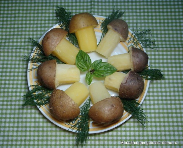 карт.jpg