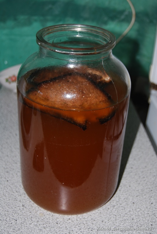 Boisson sans alcool à base de malt Chlebnij kvas, 0,5L, Хлебный квас –  KATUCHA