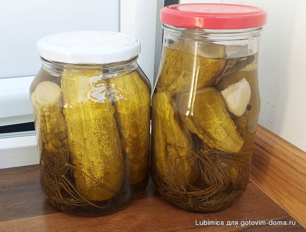 детские огурцы.jpg
