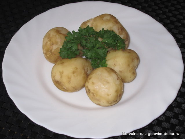 карт.jpg