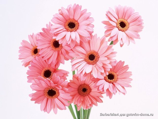 International_Womens_Day_Flowers_for_your_favorite_girl_014491_.jpg