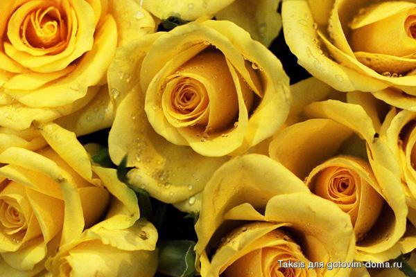 yellow_gallery__600x400.jpg
