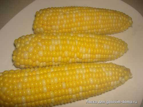 Picture-150.jpg
