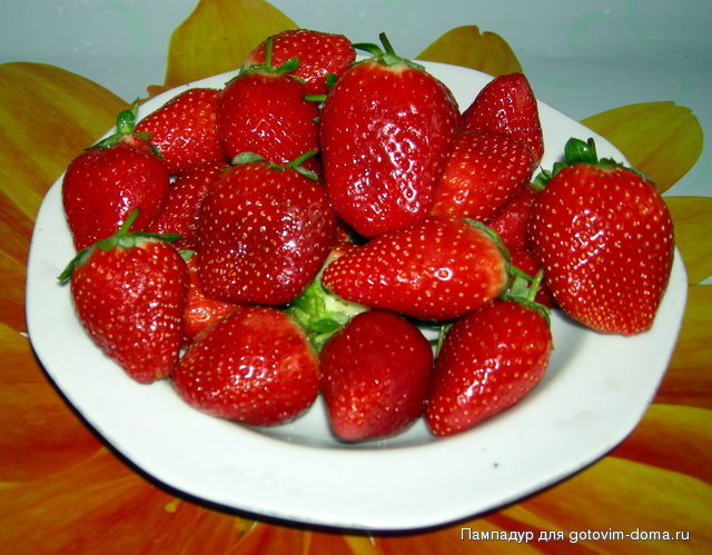 DSCN9522.JPG
