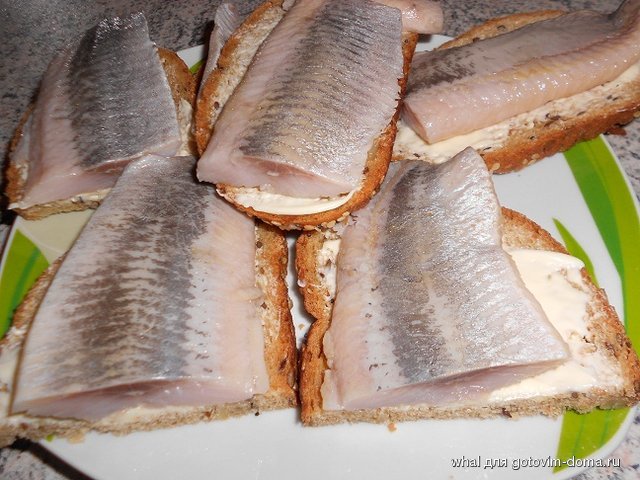 DSCN7130.JPG