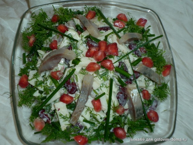 P1000282.jpg