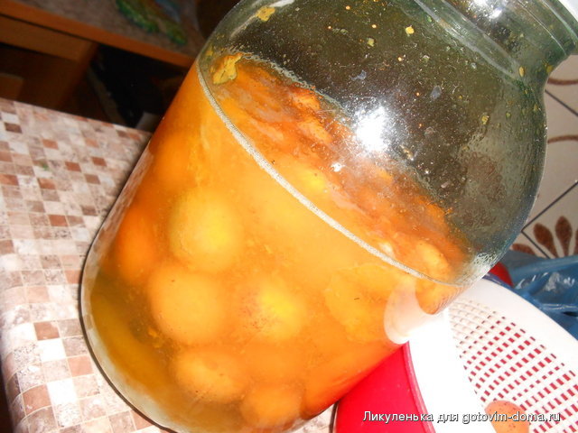 DSCN1798.jpg