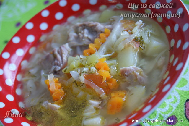 Щи из свежей капусты (летние).JPG