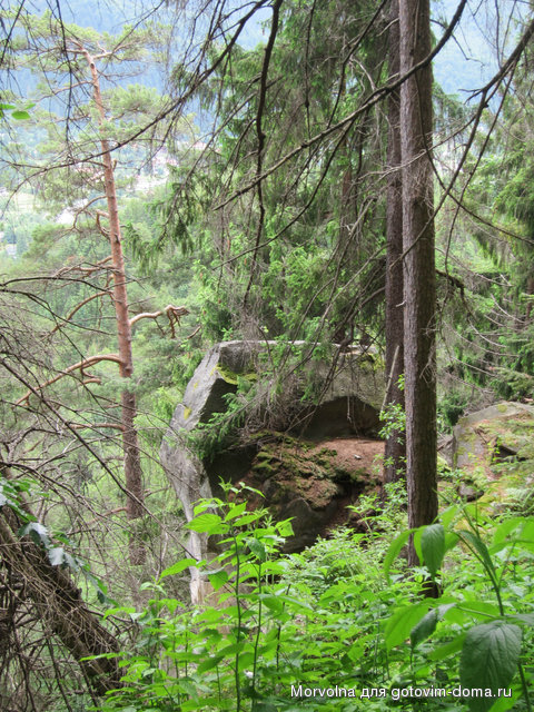 IMG_9767.JPG