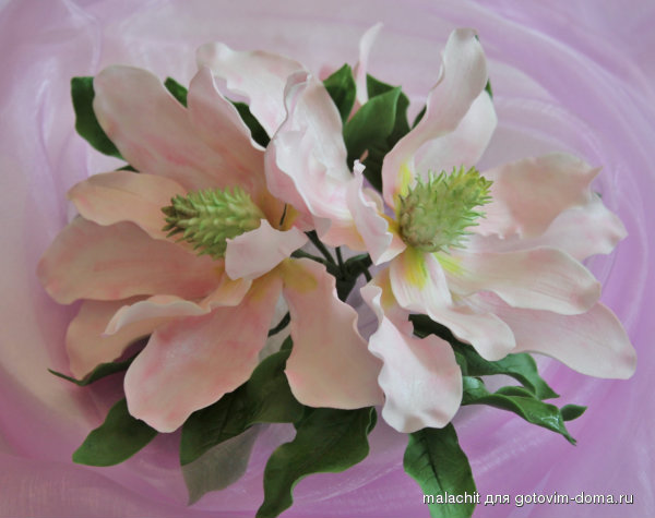 magnolii.jpg