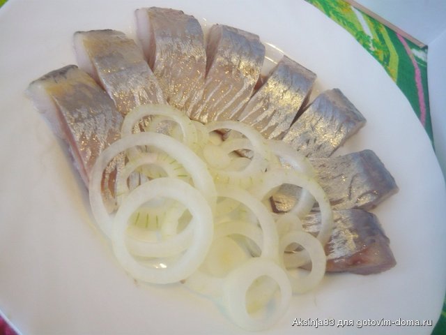 P1020222.JPG