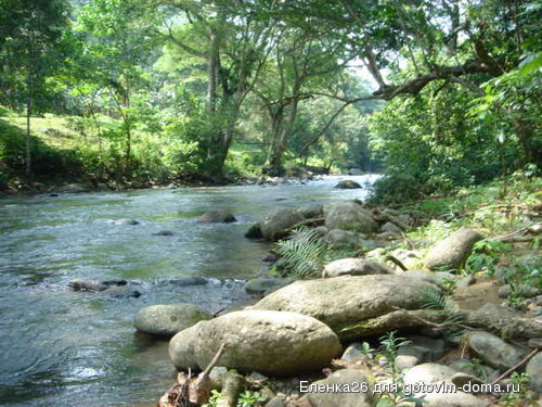 nature_by_a423[1].jpg