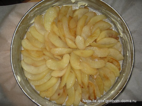 TART 033.jpg