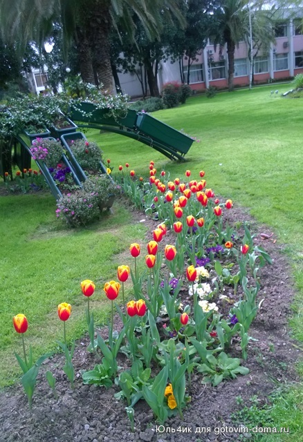WP_20160324_005.jpg