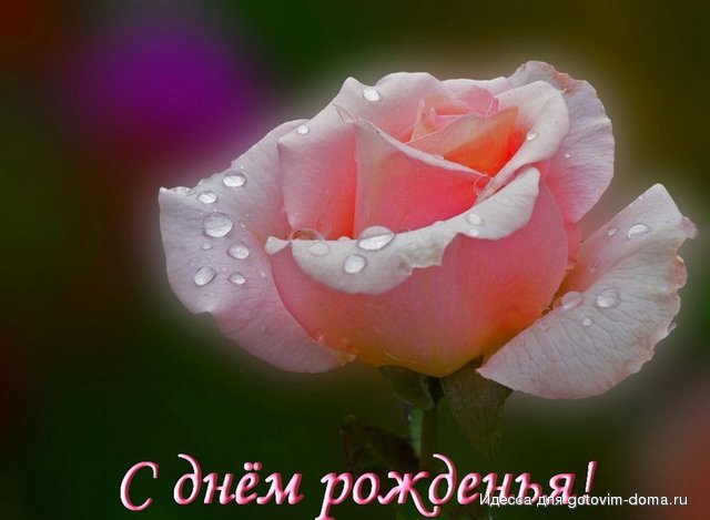 a09ccfc7ba2f364e820c610010ec415b.jpg