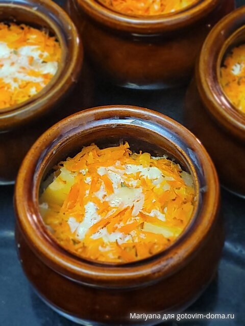 Мясо с овощами в горшочках.jpg