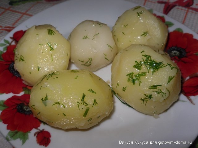 молодая картошка.jpg