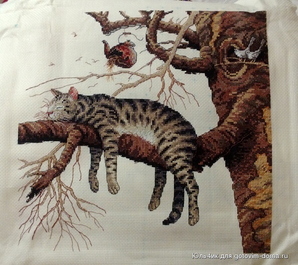 WP_20131223_020.jpg