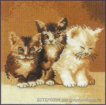 BK132-Three_Cute_Cats.JPG