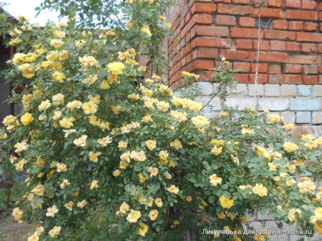 DSCN5962.JPG