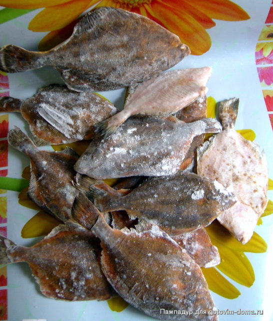 DSCN9634.JPG