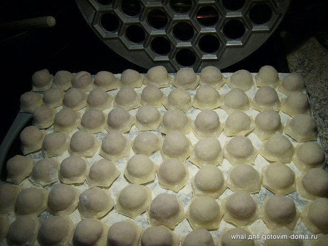 JD600023.JPG