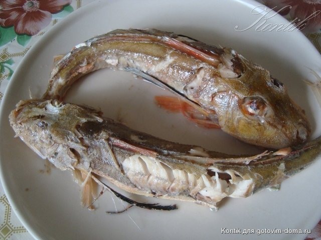DSC08041.JPG