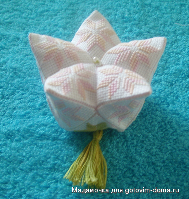 кривуля 2.JPG